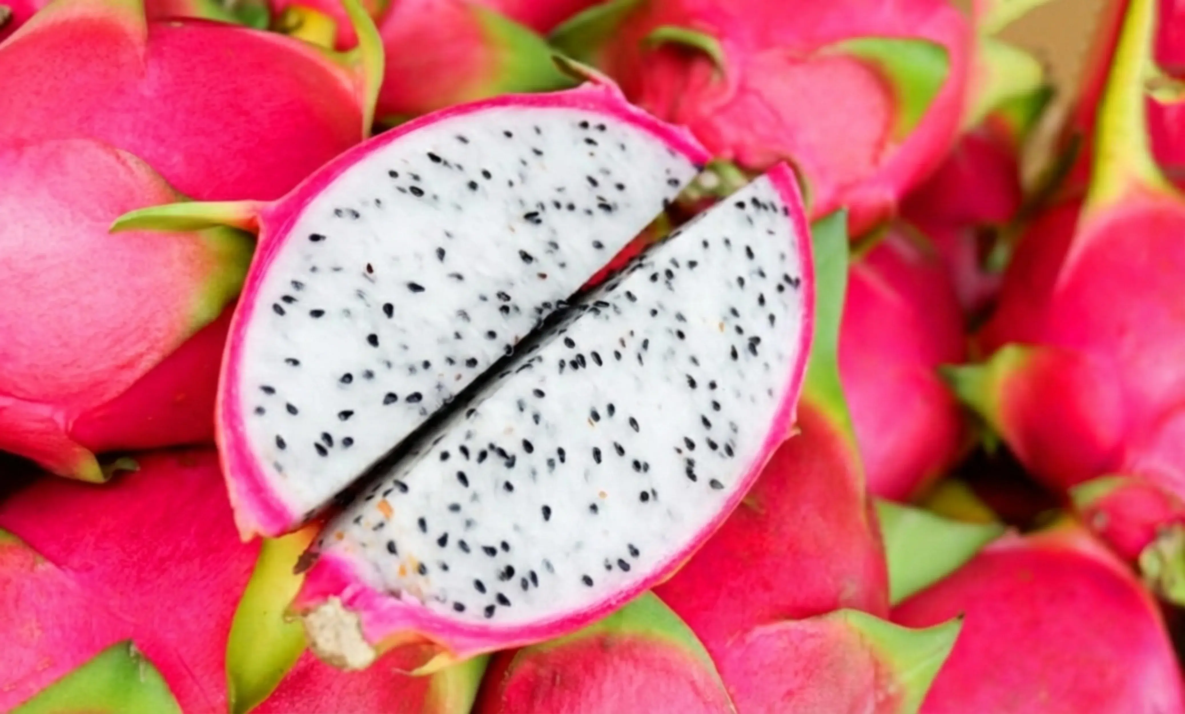 Category Exotics mobile