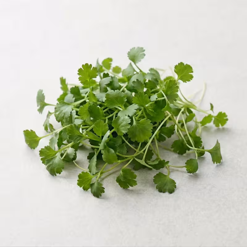 Category Micros and Cresses mobile